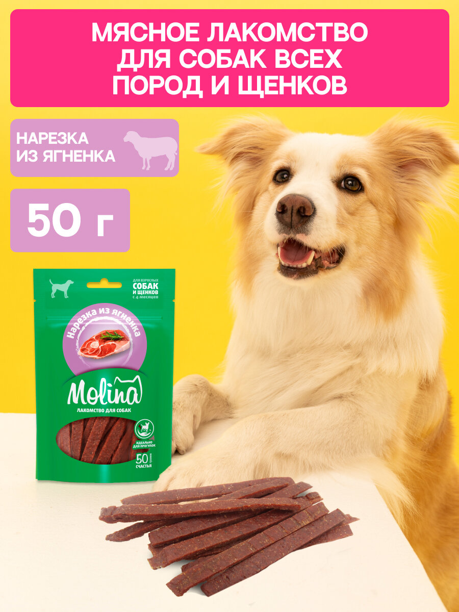 Лакомство для собак мелких пород и щенков, Нарезка из ягненка, 50 г MOLINA