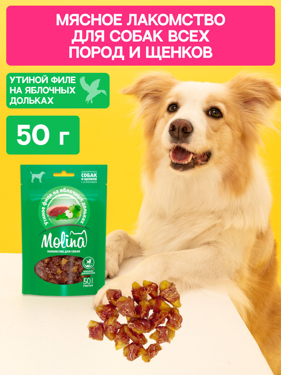 Лакомство для собак мелких пород и щенков, Утиное филе на яблочных дольках, 50 г MOLINA