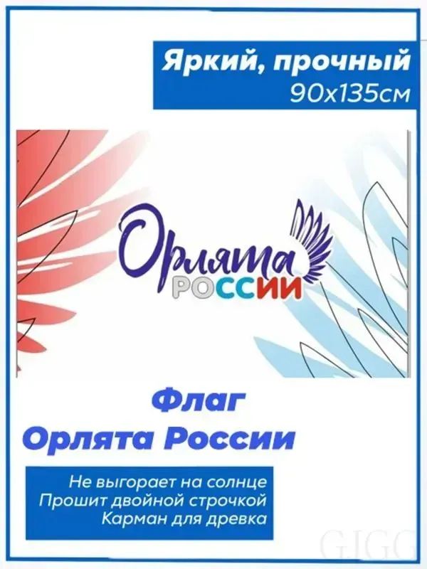 Флаг Орлята России. Движение первых. Рддм