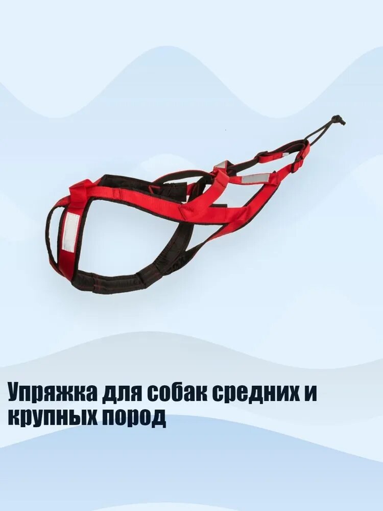 Упряжка для собак средних и крупных пород, красный - XXXL