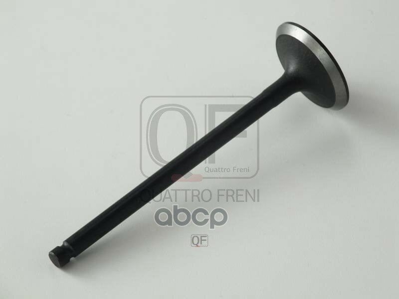 Клапан двигателя впускной QUATTRO FRENI арт. qf02a00010