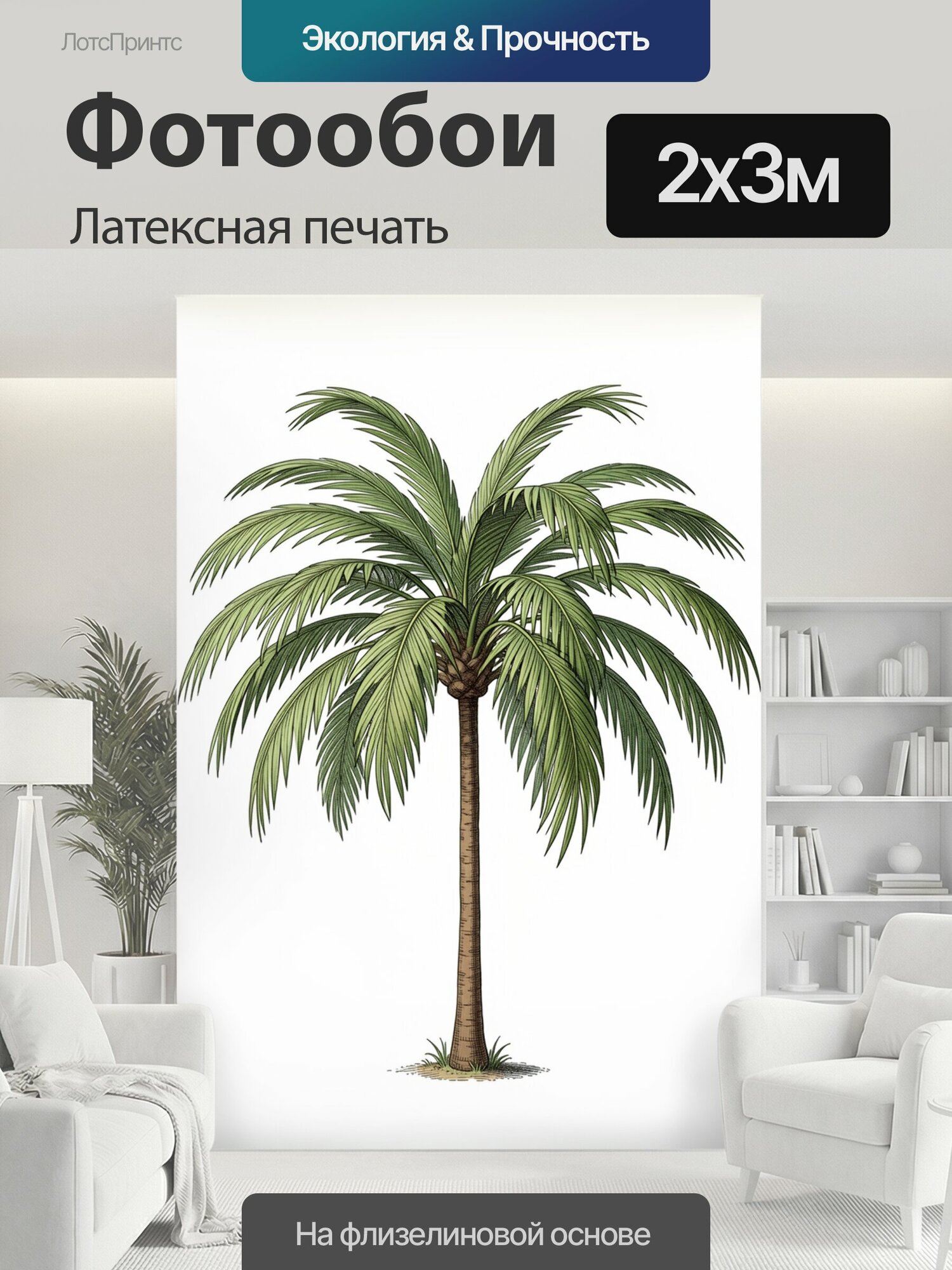 Фотообои моющиеся ударопрочные "Тропическая пальма на белом фоне. Одинокое экзотическое растение с длинными изящными листьями и высоким стволом." 200x300 см. латексная печать