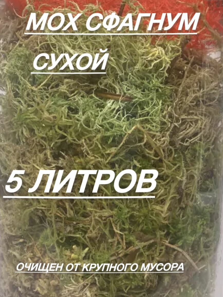 Мох сфагнум 5 литров сухой для улиток и цветов
