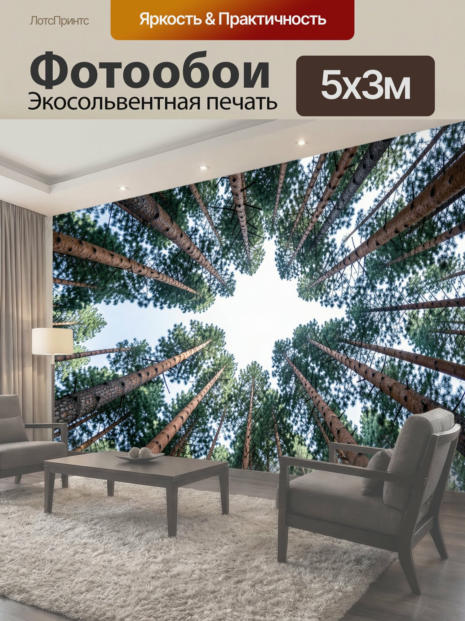 Фотообои "Высокие сосны в небе. Взгляд снизу на стройные хвойные деревья с тонкими стволами и густыми кронами, расходящимися к светлому небу." 500x300 см. экосольвентная печать