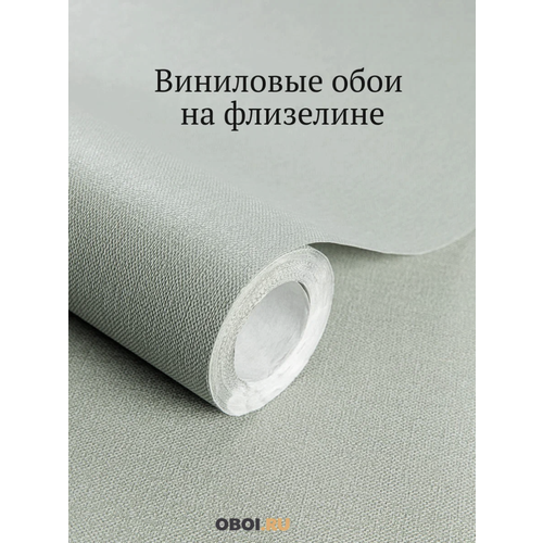 фото Обои флизелиновые 1.06 для кухни, спальни, гостиной, зала, прихожей, детской, обои метровые 10.05 м, вспененный винил oboiru