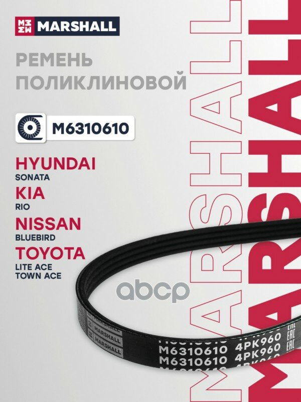 Ремень поликлиновой MARSHALL арт. M6310610