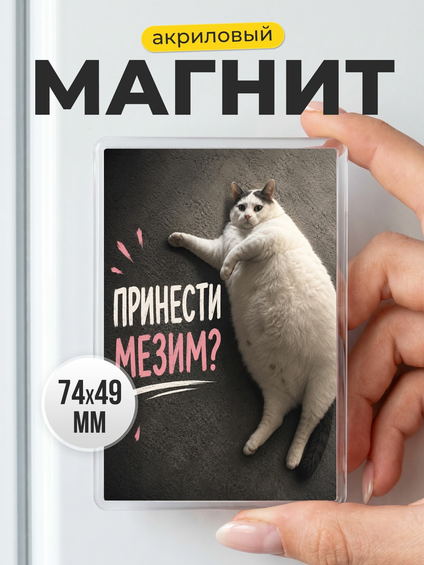 Магнит акриловый на холодильник с котом