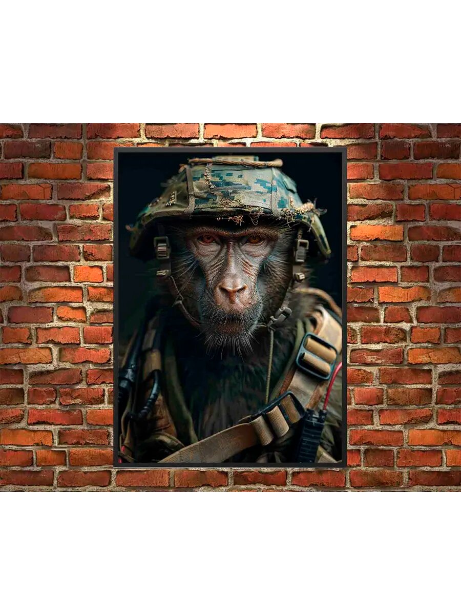 Бабуин-животное-солдат 3, Плакат 30x42см