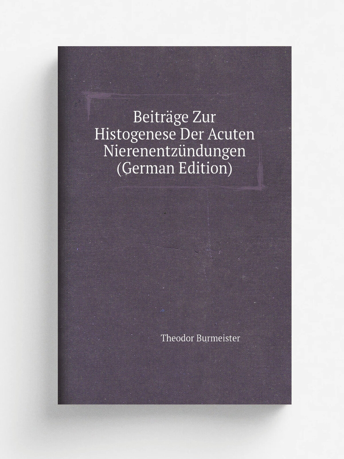 Beitr.ge Zur Histogenese Der Acuten Nierenentz.ndungen (German Edition) | Theodor Burmeister | Репринт