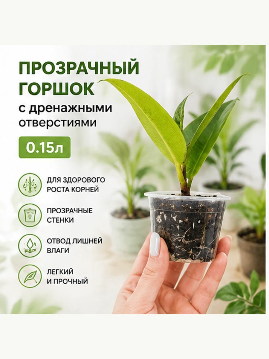 Горшок сетчатый 0.15 л, 5.5 см, 10 шт, цвет прозрачный. Экономика, доступные, из Китая. Срочный транспорт.