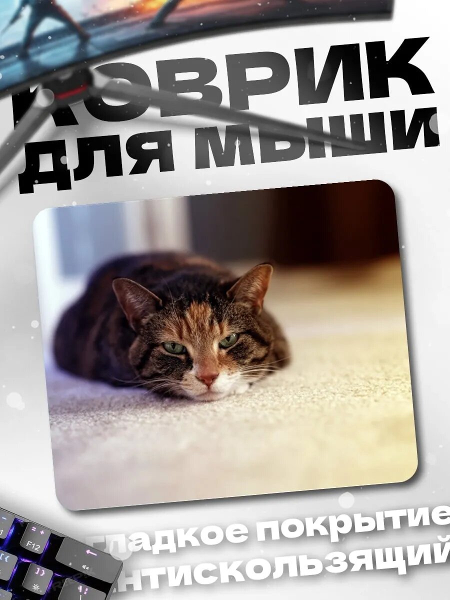 Коврик для мыши кот на ковре