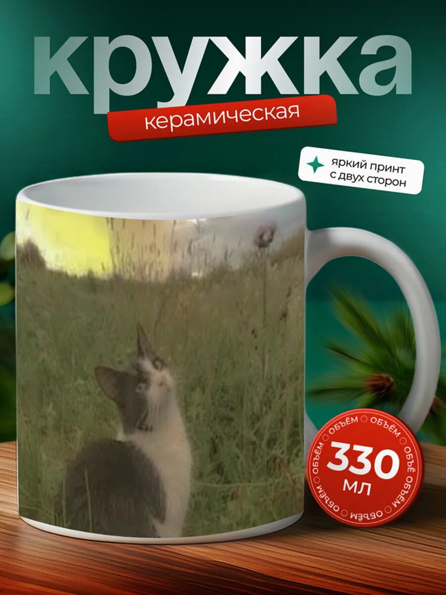 Кружка Спайс кот 30,