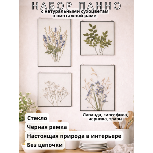 фото Набор из 4 панно с натуральными сухоцветами и травами между стеклом / квадриптих / прозрачные картины ручной работы в чёрных рамах forget-me-not