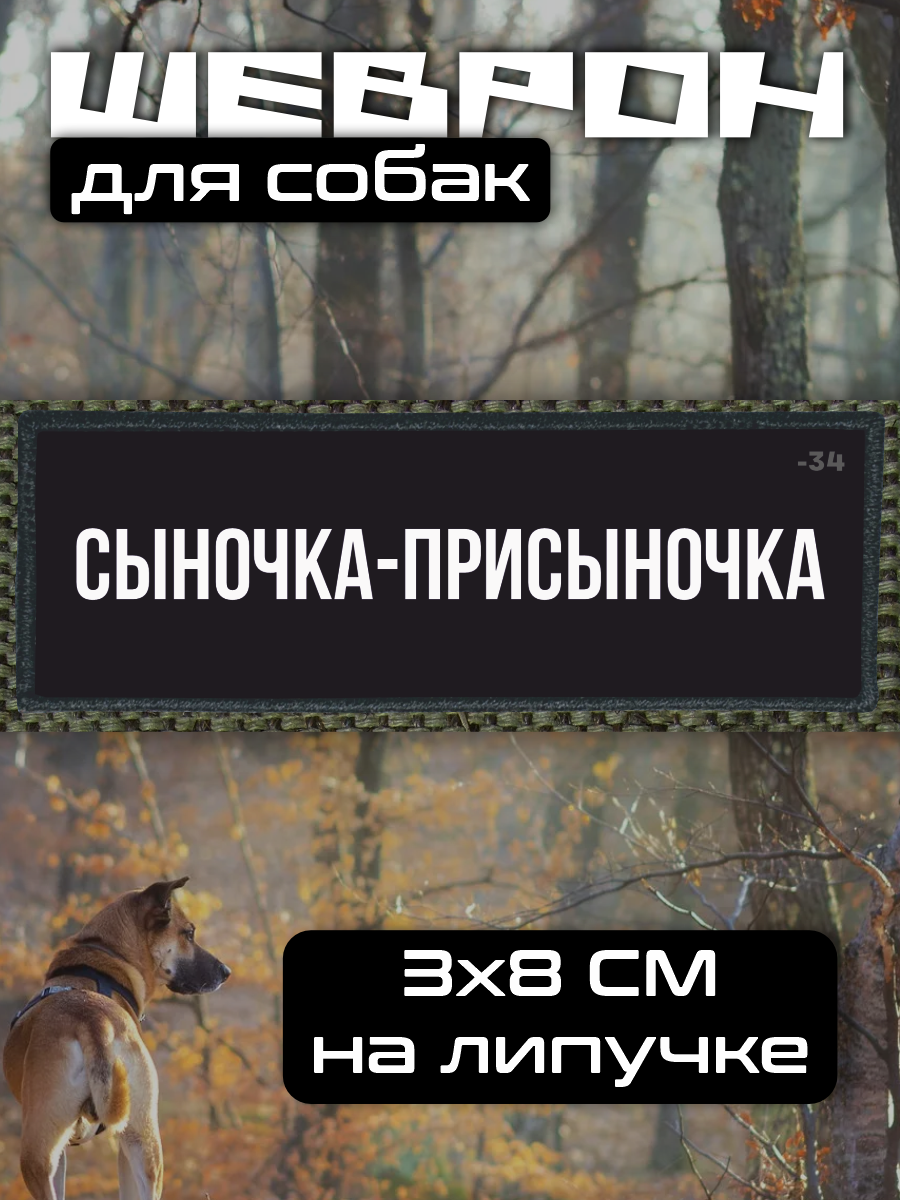 Шеврон на липучке для собак сыночка присыночка