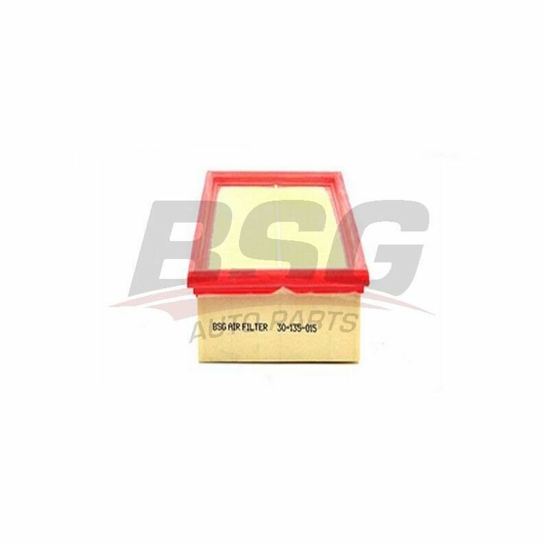 Фильтр воздушный FORD Transit BSG / Арт. BSG30135015