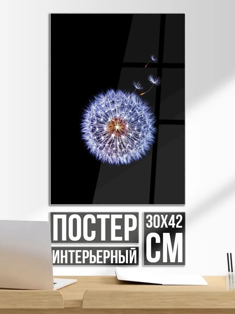 Постер на стену Одуванчик