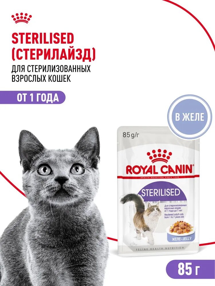 Влажный корм для стерилизованных кошек Royal Canin Sterilised, кусочки в желе, 85 г