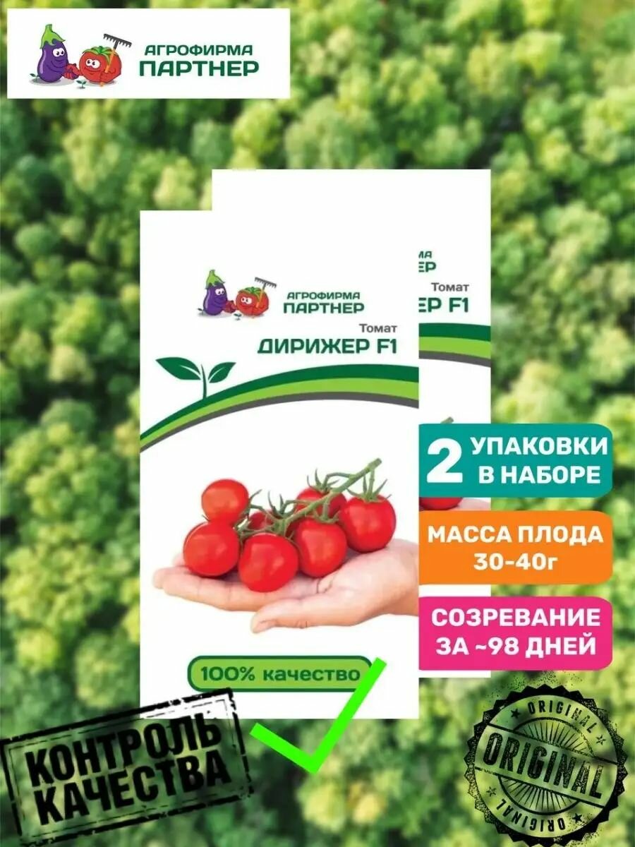 Томат дирижер F1, (10шт) 2-ной пак, 2 уп.