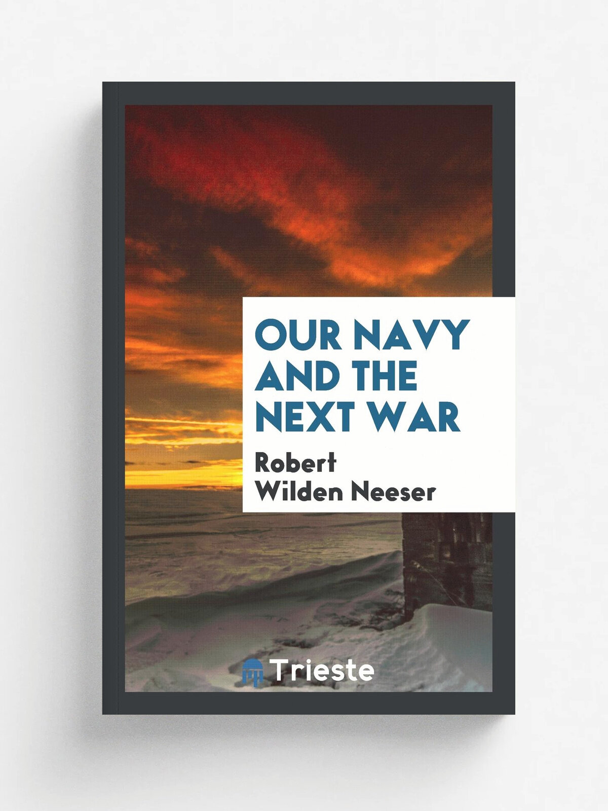 Our navy and the next war