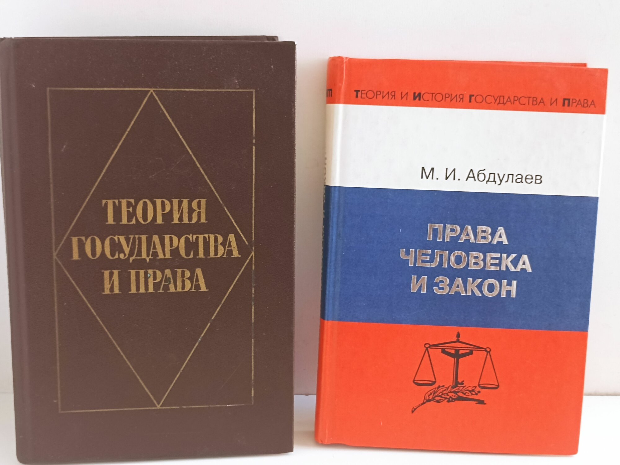 Теория государства и права Под ред. А И. Королева Л С. Явича 1982 Абдулаев М И Права человека и закон: Историко-теоретические аспекты 2004