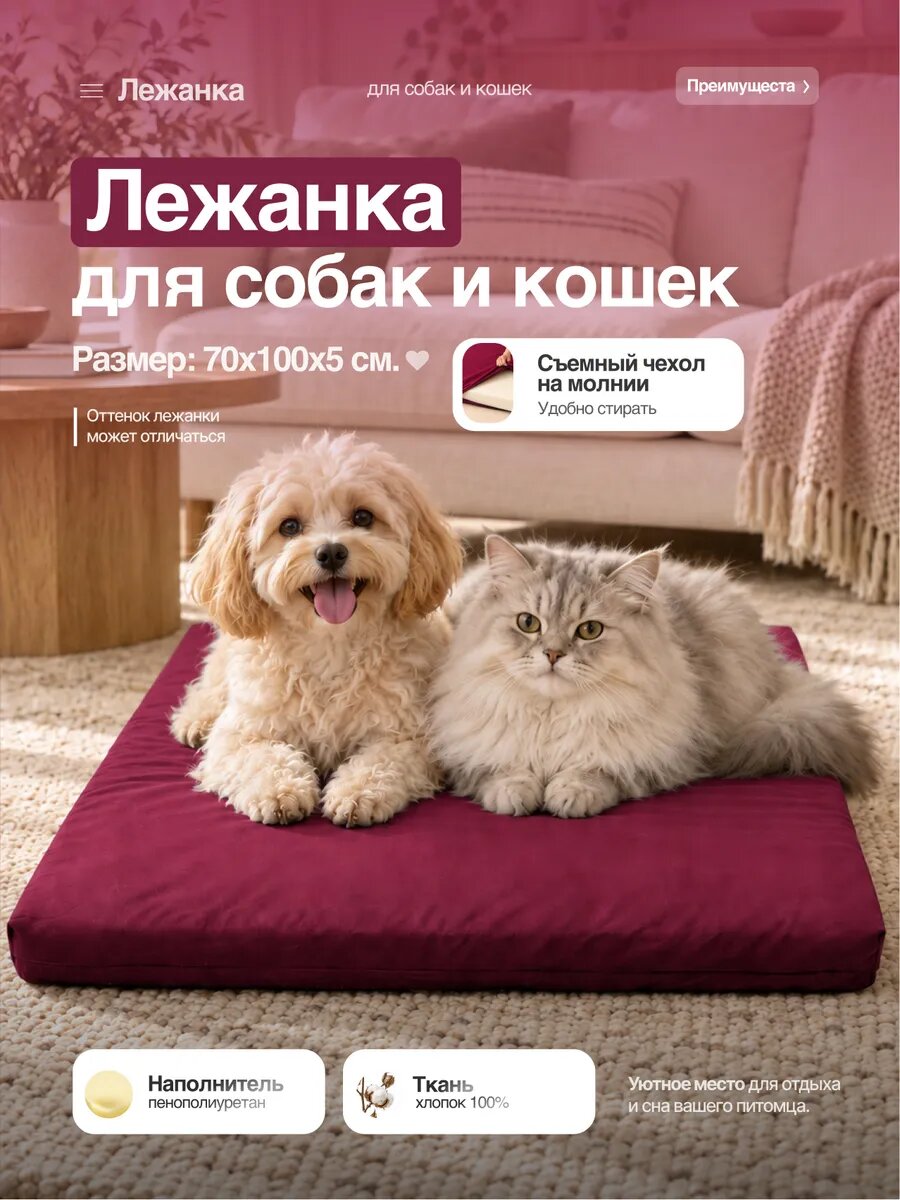 Лежанка поролона для собак крупных и средних пород и кошек с съемным чехлом на молнии Amiran21 70х100х5см