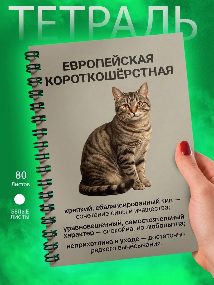 Тетрадь - А5 - Кошка - Европейская короткошёрстная