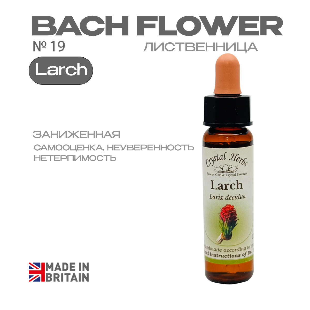 Larch (Лиственница) Ларч, эссенция классическая, Бах №19 - капли 10 мл. Англия