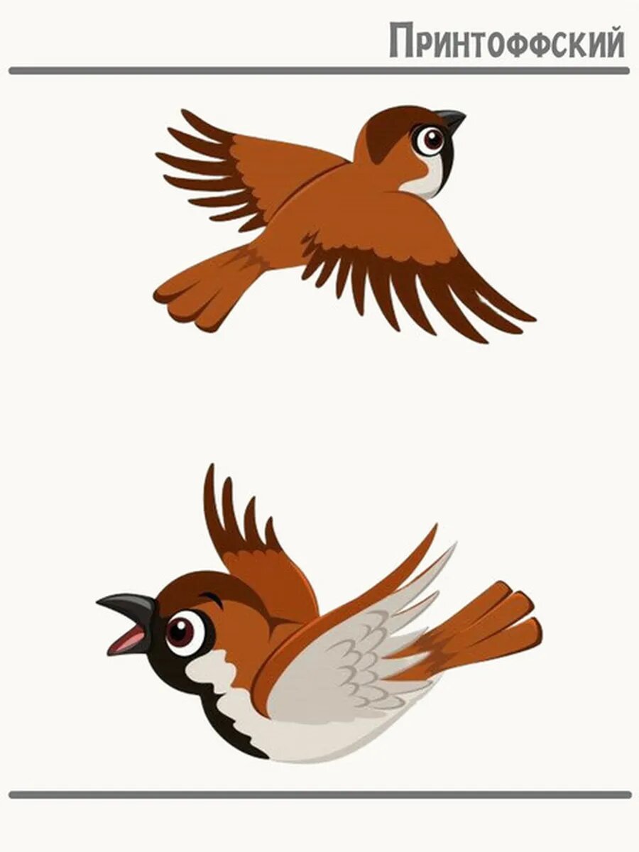 Термонаклейка для одежды и аксессуаров DTF-печать bird sparrow птица воробей