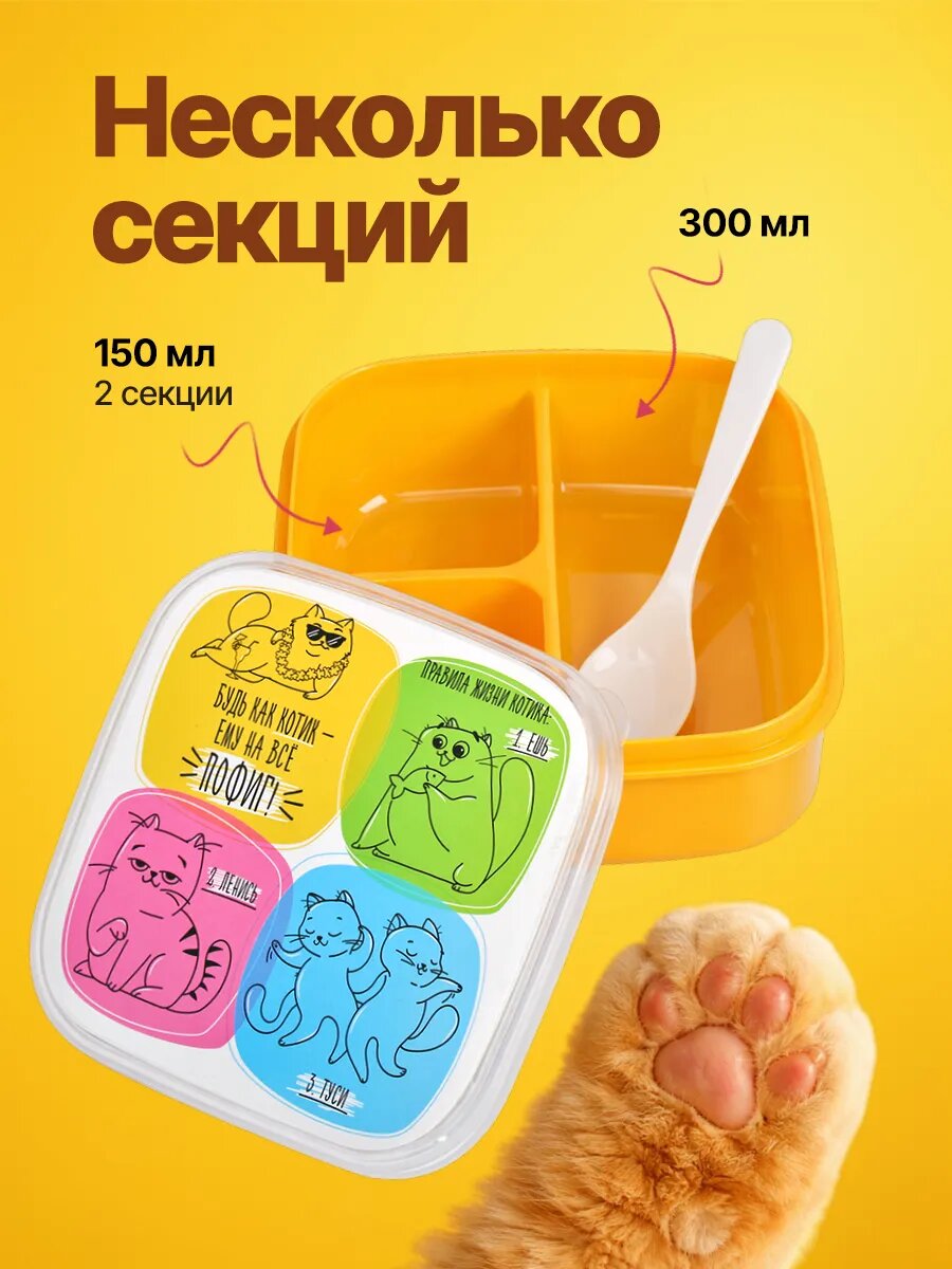 Ланч - бокс квадратный с секциями и ложкой «Кот», 400 мл, пластик, на подарок — фото 1