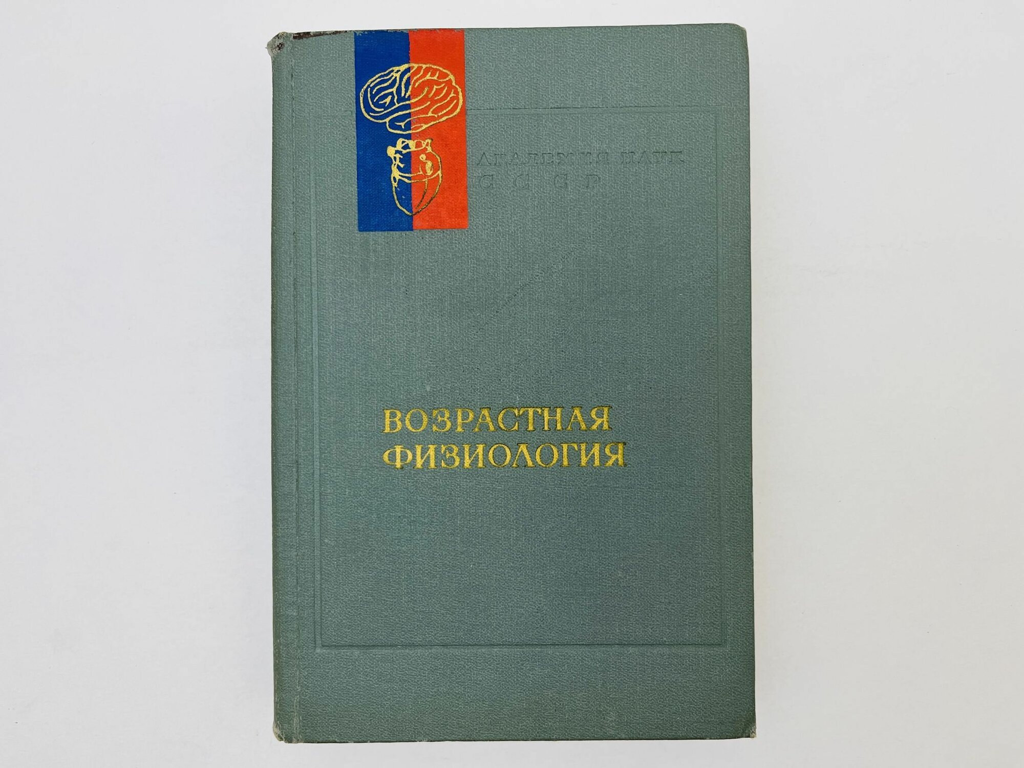 Возрастная физиология