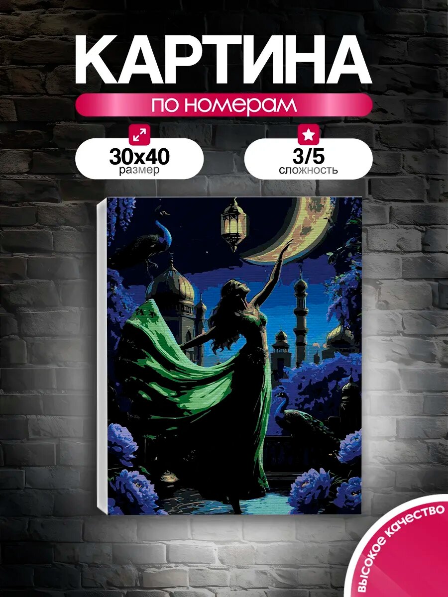 Картина по номерам 30x40 Арабская ночь