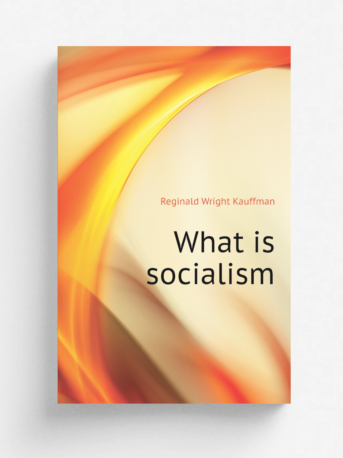 What is socialism | Kauffman Reginald Wright | Репринт