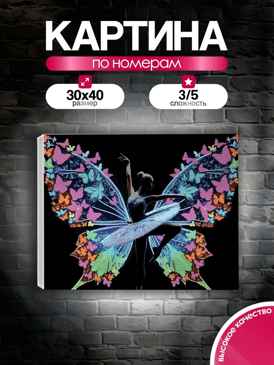 Картина по номерам 30x40 Балерина с крыльями