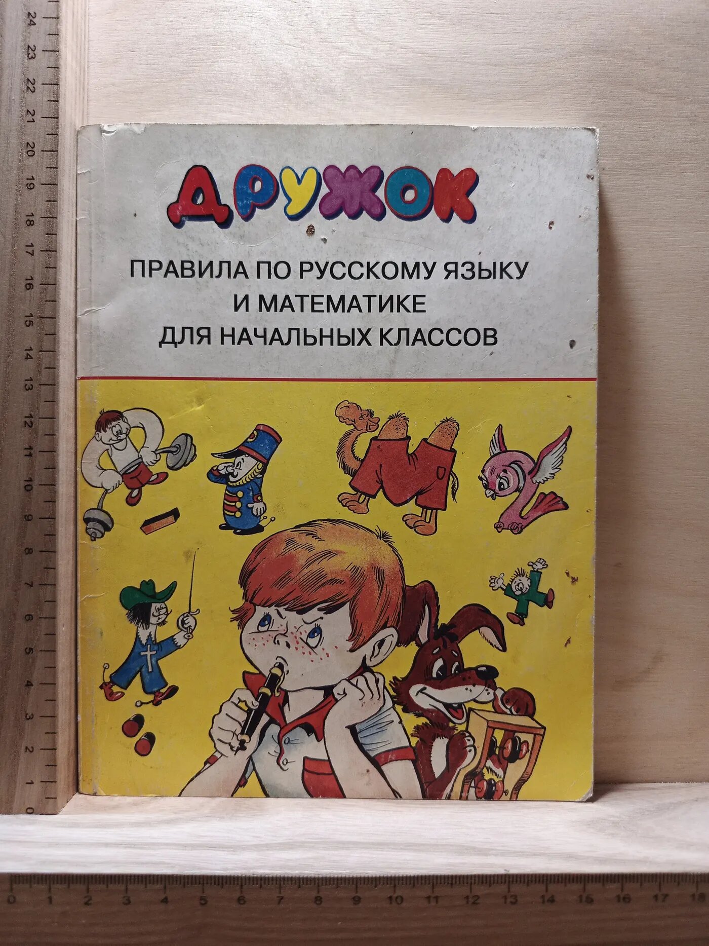Дружок. Правила по русскому языку и математике для начальных классов