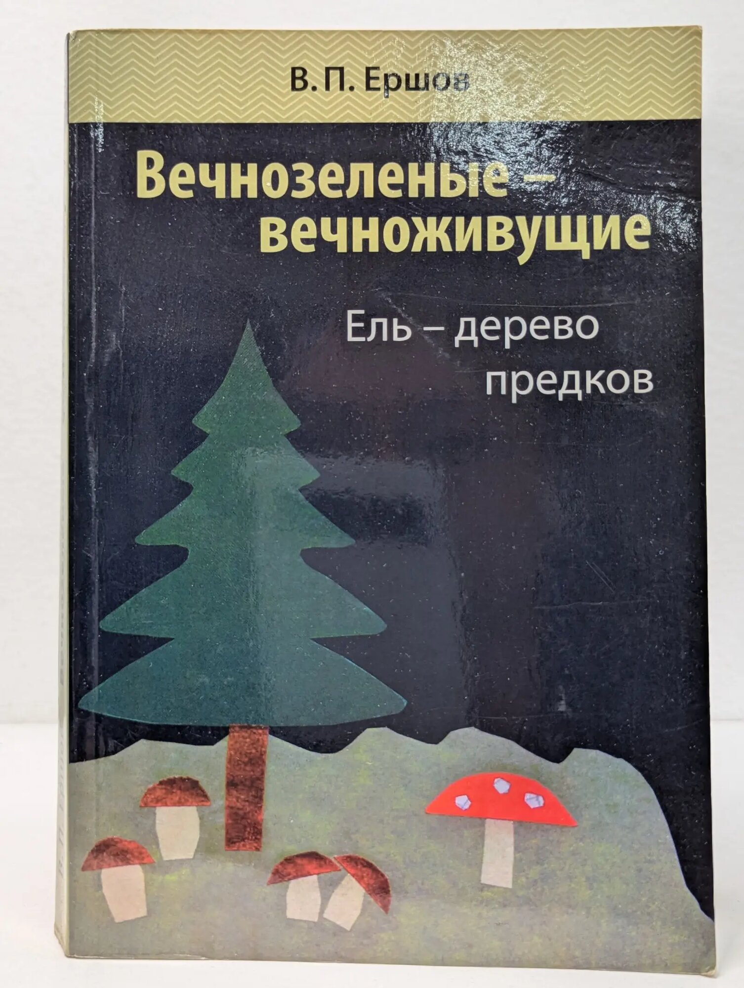 Вечнозеленые - вечноживущие. Ель - дерево предков Ершов В. П. 2017