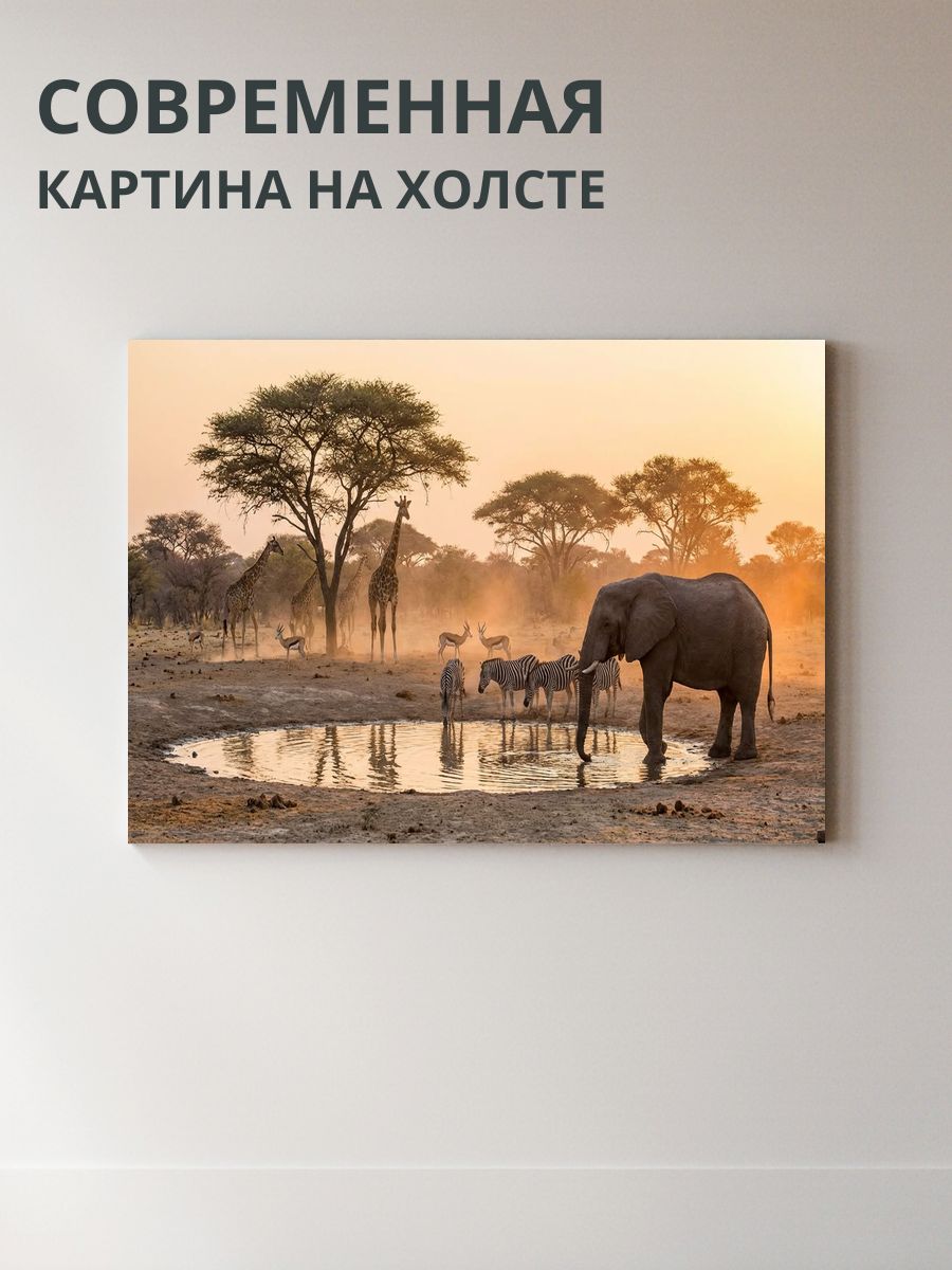 Картина на холсте Сафари 70x50 см