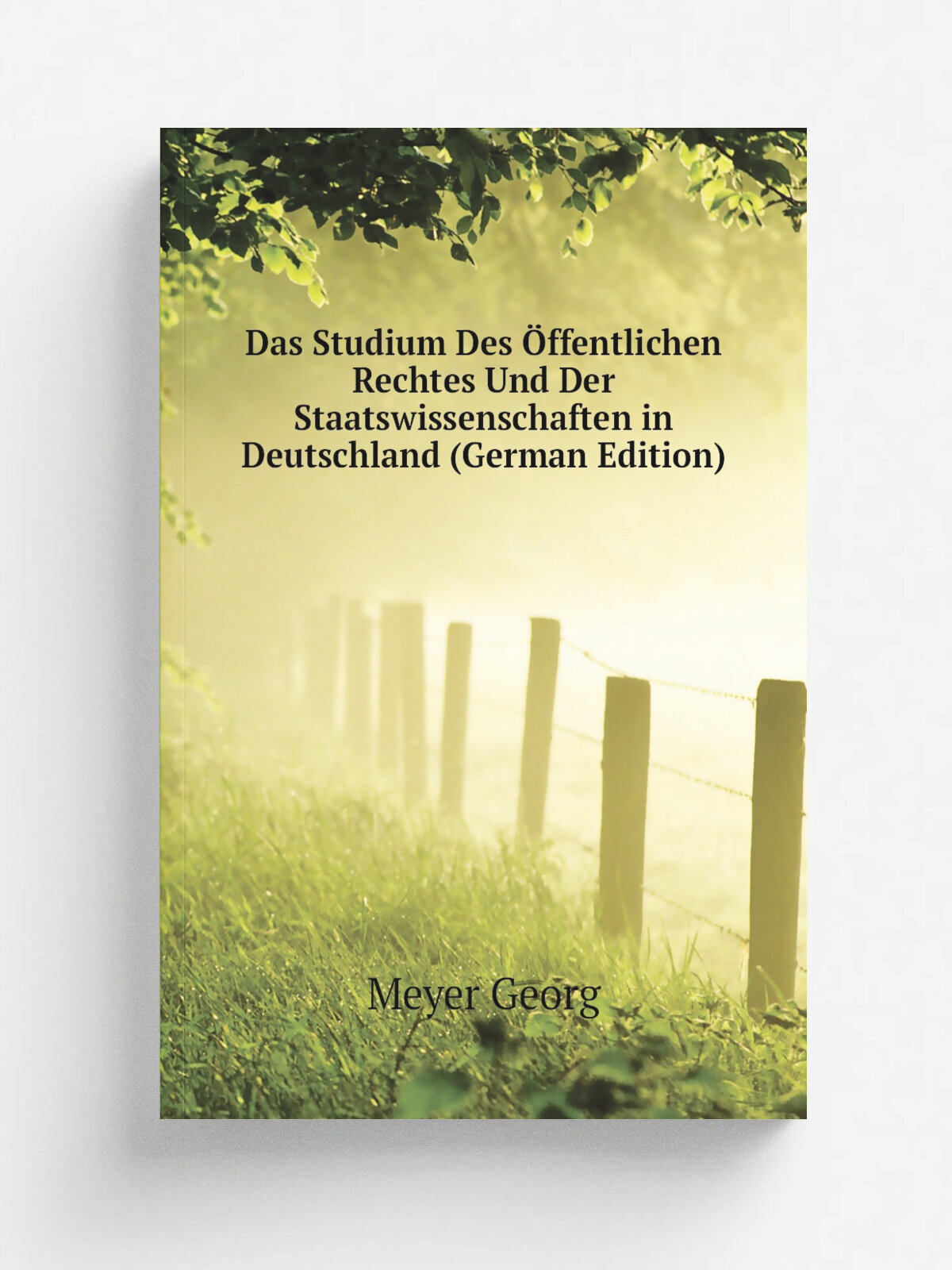 Das Studium Des . ffentlichen Rechtes Und Der Staatswissenschaften in Deutschland (German Edition) | Meyer Georg | Репринт