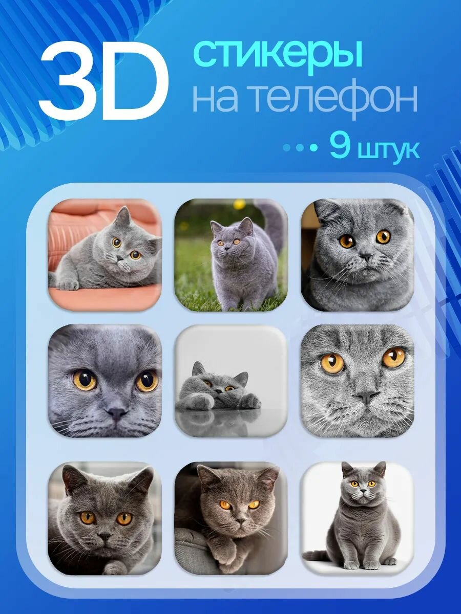 3D стикеры на телефон Кот британец
