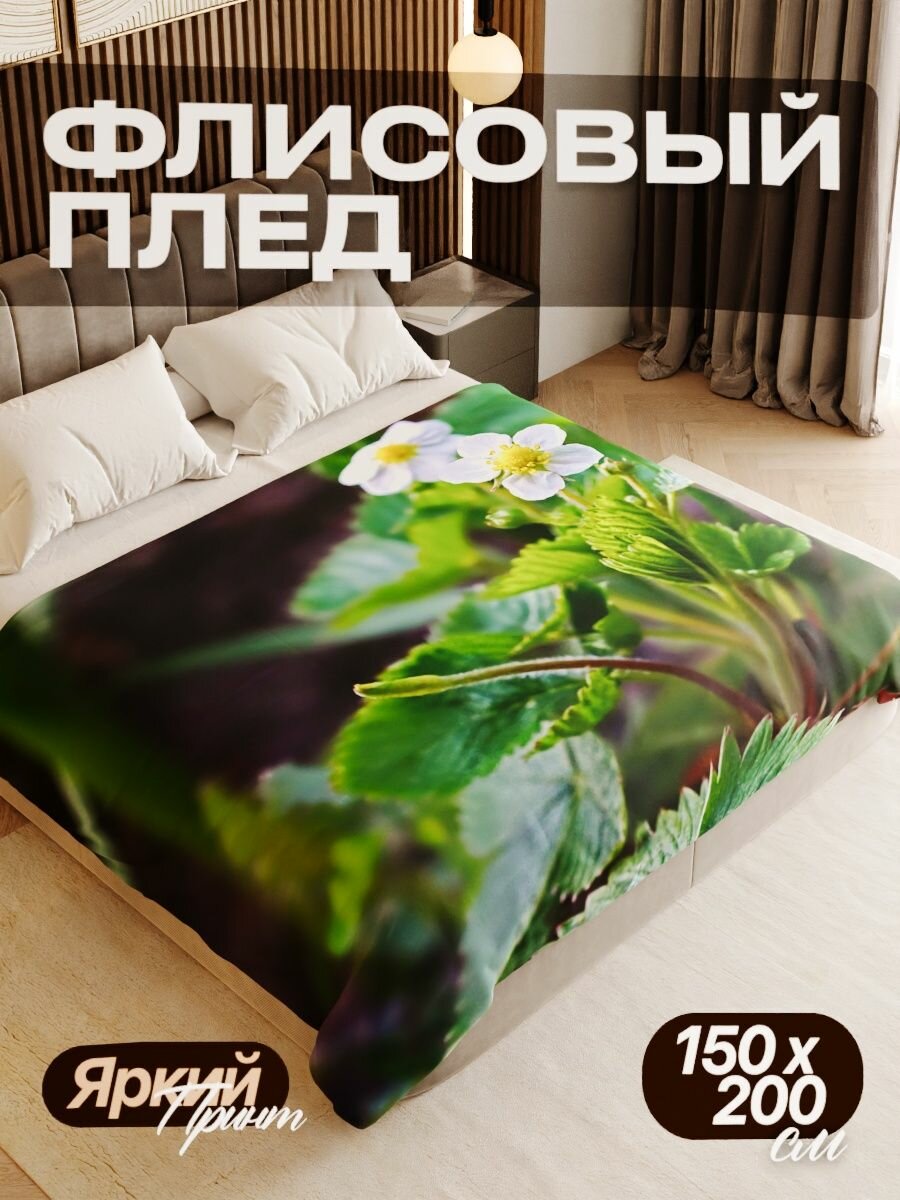 Плед флисовый 150х200 см мягкий теплый покрывало для дома
