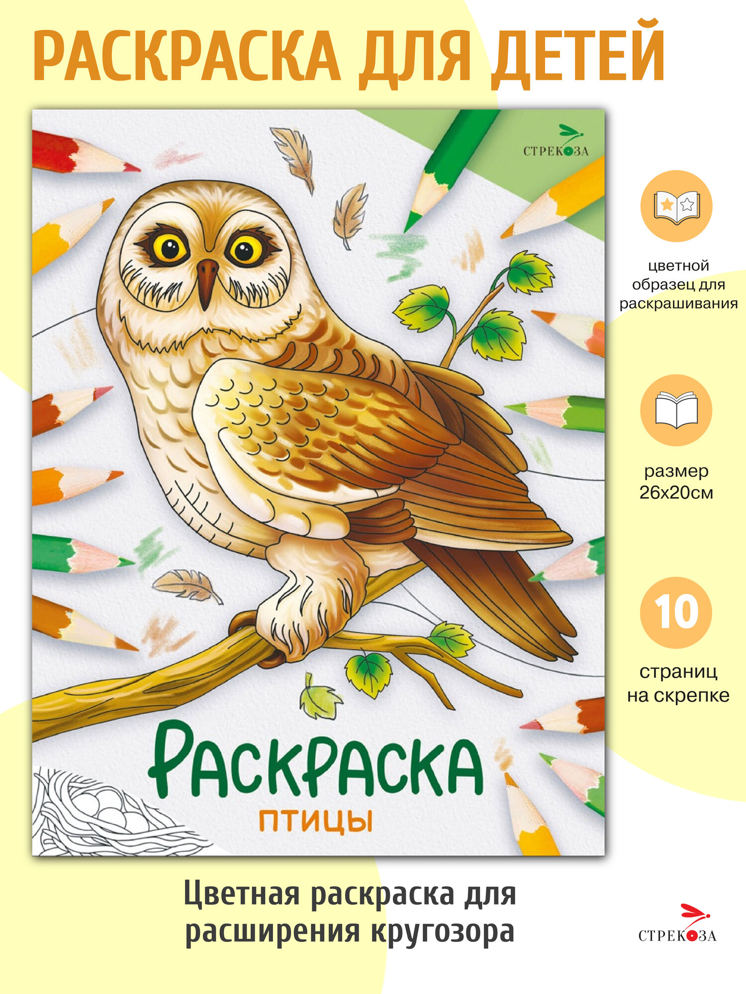 Раскраска Птицы. Окружающий мир