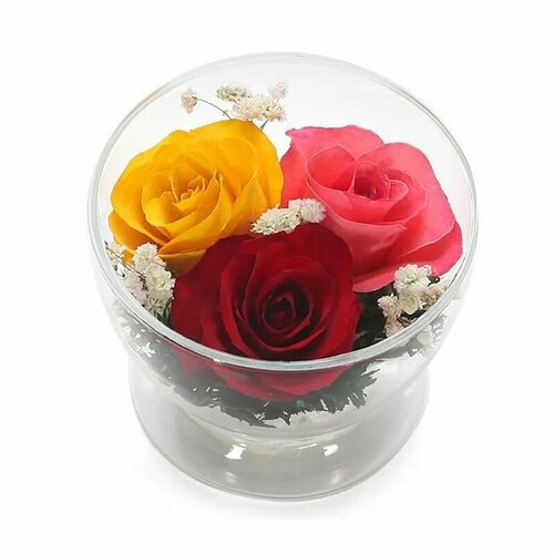 Композиция из натуральных жёлтых, красных и розовых роз в подарочной упаковке (6х8,5 см) / Стабилизированные цветы в стекле