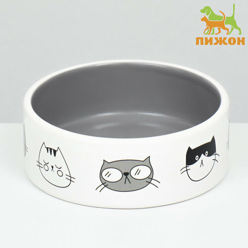 Миска керамическая "Четыре кота" 300 мл 12,5 x 4,5 cм, бело-серая 9942205