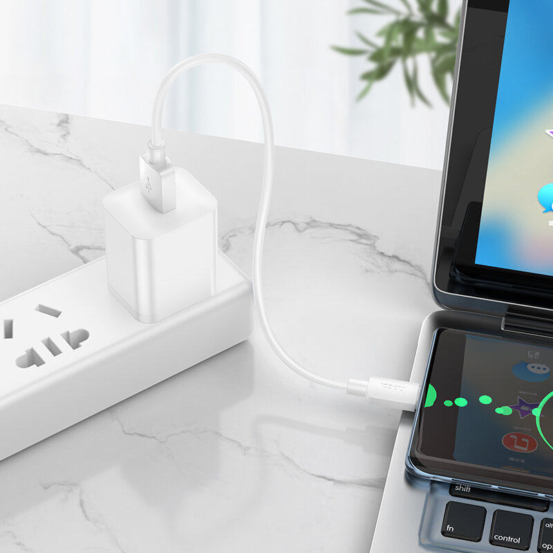 USB Кабель Type-C, HOCO, X96, 100W, 0.25м, белый — фото 1