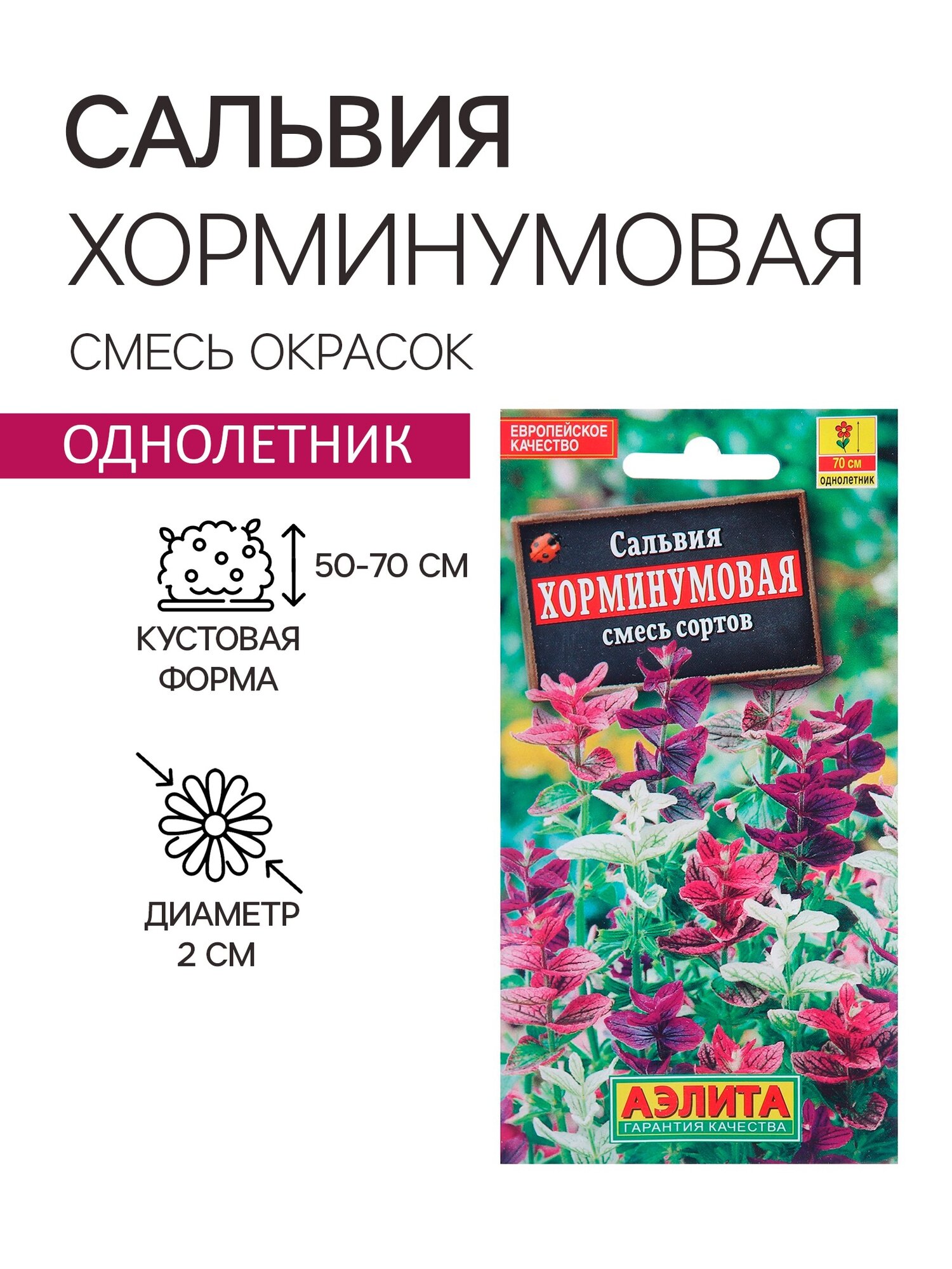 Семена цветов Сальвия Хорминумовая, смесь окрасок, О, 0,3 г