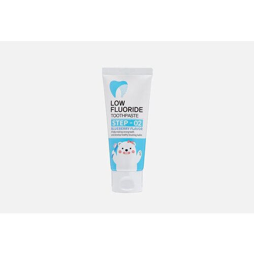 Детская зубная паста со вкусом черники Alpha Care Plus Toothpaste STEP-02 60 гр