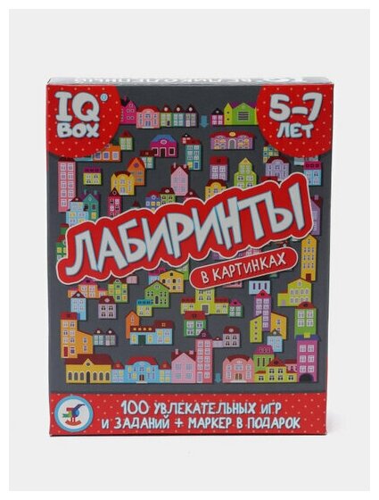 Лабиринт Дрофа-Медиа IQ Box - фото №9