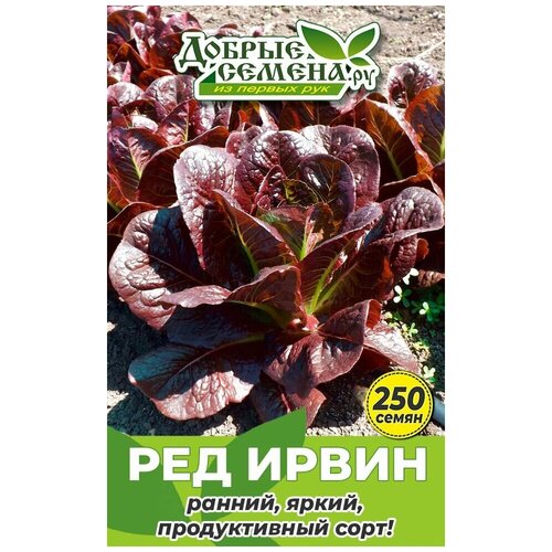 Семена салата Ред Ирвин - 250 шт - Добрые Семена. ру