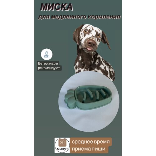 Миска для медленного кормления