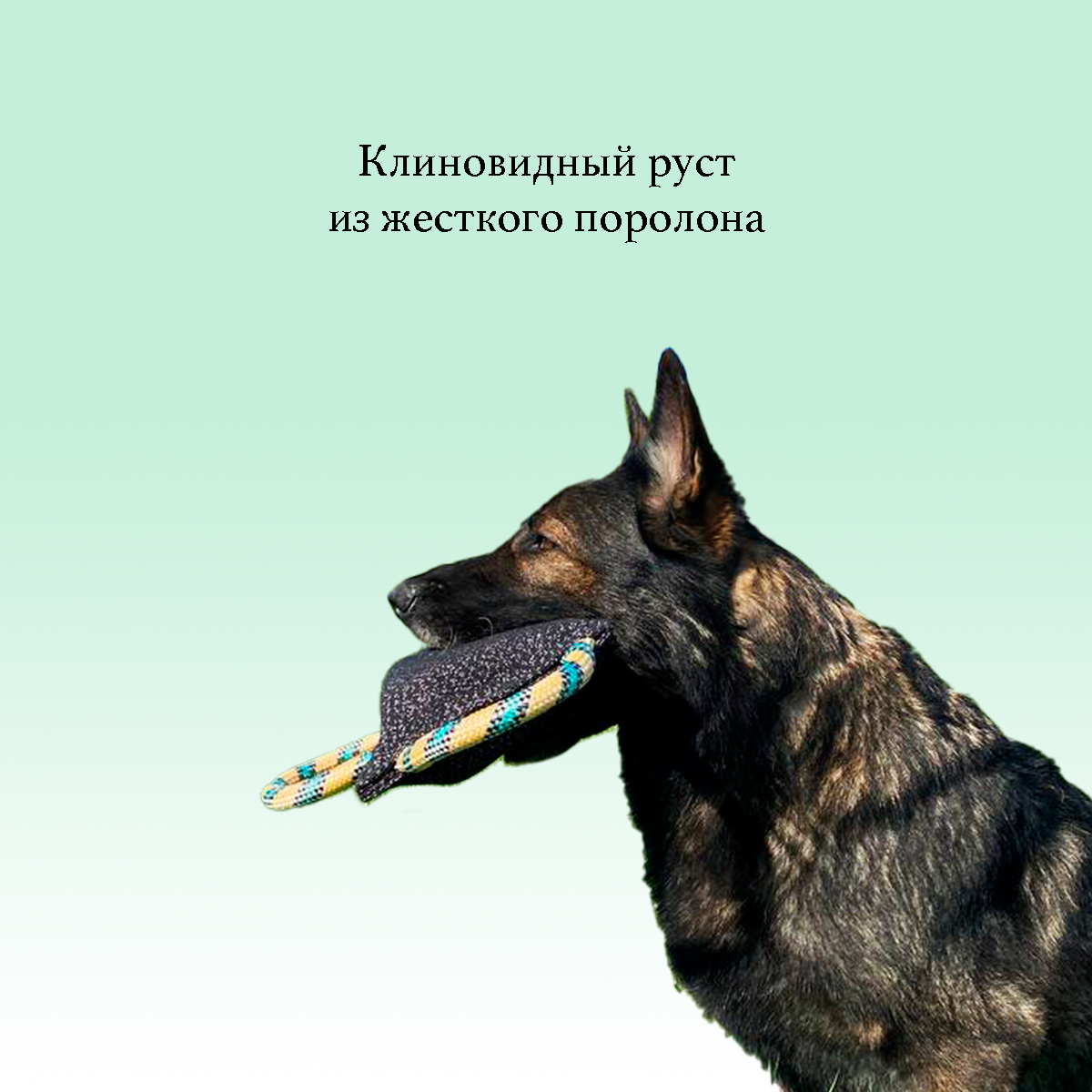 Подушка ухватка для дрессировки собак BITEFORCE, из ринговой спецткани с тремя ручками черная - фотография № 2