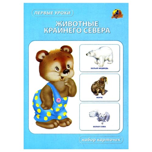 фото Набор карточек линг первые уроки. животные крайнего севера 22x15.5 см